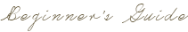 Beginner’s Guide